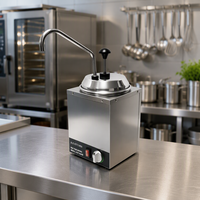 Distributeur de chocolat et de fromage avec pompe, chauffe-sauce monotête en acier inoxydable 201