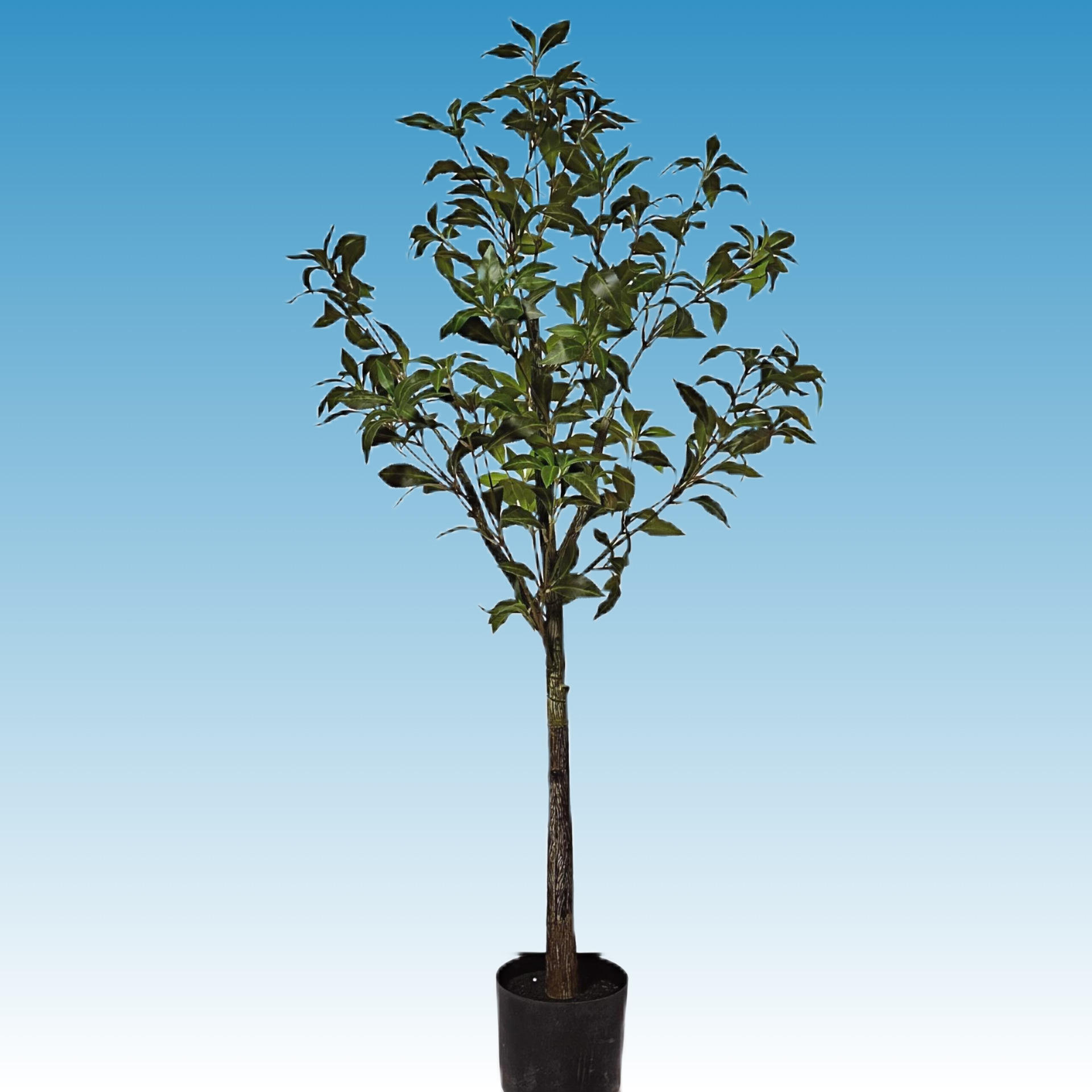 120cm cheval bois ivre avec bassin noir