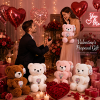 Ours en peluche personnalisé en gros pour la Saint-Valentin avec broderie de ballon cœur pour cadeau de demande en mariage