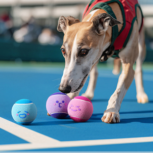 Jouet pour chien : Balle de tennis extensible Bibi Call pour l'entraînement et la mastication – Fournitures pour animaux de compagnie - Product Image 3