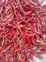 Piment rouge TEJA S17 en gros, qualité supérieure, frais et séché, avec une saveur délicieuse, traitement brut