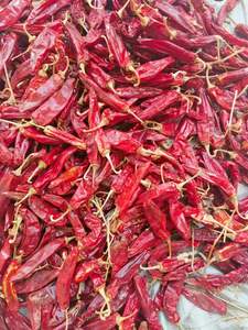 Ớt đỏ TEJA S17 chất lượng cao, số lượng lớn, tươi, khô, hương vị thơm ngon, chế biến thô - Product Image 4