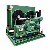 Unité de condenseur à cadre ouvert robuste et refroidie par air avec double ventilateur pour chambres froides et entrepôts frigorifiques