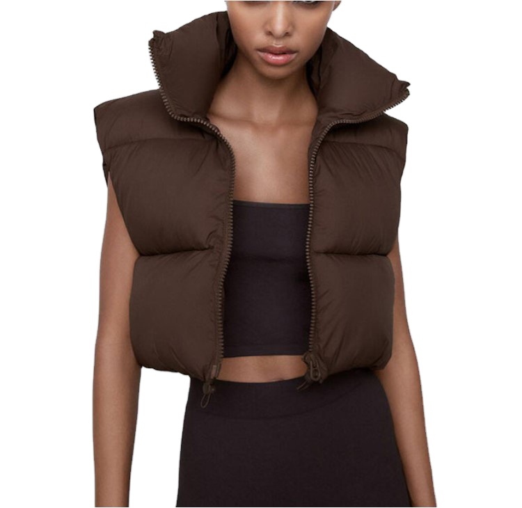 2021 зимние женские жилеты на молнии и безрукавки, пуховая куртка, уличный стиль, модный Свободный Повседневный флисовый хлопковый жилет, пуховая куртка