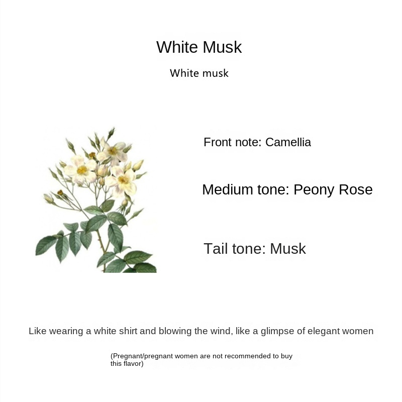 Musc blanc