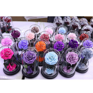 Venta caliente natural Navidad natural <span class=keywords><strong>rosas</strong></span> <span class=keywords><strong>preservadas</strong></span> <span class=keywords><strong>rosas</strong></span> de larga duración para siempre <span class=keywords><strong>rosas</strong></span> eternas <span class=keywords><strong>en</strong></span> cúpula de cristal para boda - Product Image 6