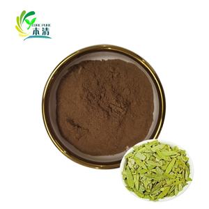 ผงสกัดจากใบเซนเน่ธรรมชาติคุณภาพสูง ปริมาณมาก 20% เซโนไซด์ บรรจุในถัง - Product Image 4