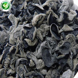 Ad sd מעובדים מיובש אוויר אכיל פטריות עץ אכיל פטריות פטריות קטנות סיניות גבוהות באיכות גבוהה - Product Image 6