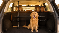 Barrière de coffre de voiture réglable sans perçage, en métal, pour animaux domestiques (chiens et chats), séparateur de cargaison pour SUV, MPV, fourgonnette, véhicule de voyage
