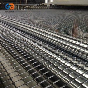 แผ่นตาข่ายเสริมแรง HDPE สำหรับป้องกันดินไหลลาดบนพื้นถนน กำแพงกันดิน การบำบัดดินอ่อน ฝั่งแม่น้ำ ทางเดินเท้า <span class=keywords><strong>TGSG</strong></span> - Product Image 4