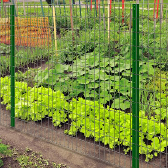 Heavy Duty Steel Electrostatic Powder Coated Corrosion Resistant CE ISO Residential Fence Quick Install T U Fence Post
