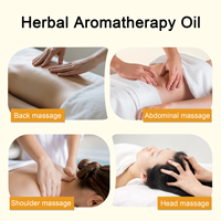 Huile Essentielle Chinoise à Base de Plantes pour le Drainage Thoracique – Prix de Gros, Meilleure Vente pour les Soins Corporels et Thoraciques