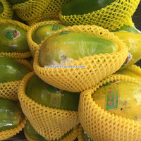 Couvercle en mousse pour fruits, filet d'emballage pe à couvercle de fruits de manga