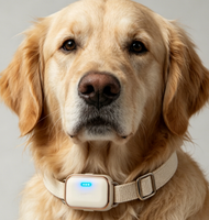 Collier intelligent pour animaux de compagnie avec IA |   Moniteur de fréquence cardiaque et de santé en temps réel pour animaux de compagnie, traceur de localisation GPS
