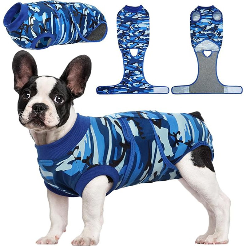 BlueCamo