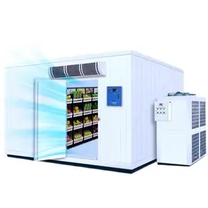 モジュール式冷蔵室PU断熱落ち着いたサンドイッチパネル冷蔵室