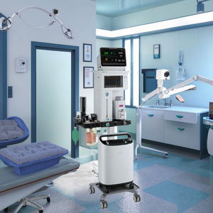 Fuente de Alimentación para Máquina de Anestesia Veterinaria, Recargable por USB, Certificación CE Clase II, Instrumento Quirúrgico, Garantía de 3 Años, MFDS - Product Image 3