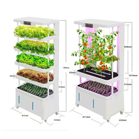 Nouveauté : Système de culture hydroponique intelligent pour la maison, jardin vertical intelligent d'intérieur