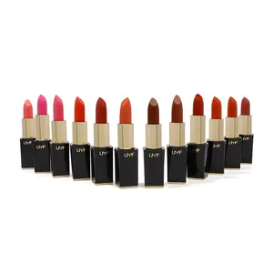 Lipsticks Customized Cosmetic OEM Vegan Wholesale Makeup Custom Lipstick 20 Colors Matte Lipstick Private Label