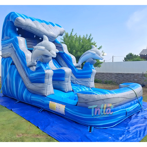 Tobogán Inflable de Grado Comercial para Niños, Parque Infantil al Aire Libre, Toboganes de Agua Grandes, Castillos Inflables, Tobogán Acuático - Product Image 2