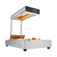 WeWork-Chauffe-frites électrique 750W, lampe chauffante pour aliments commerciaux, pour buffet, cuisine, restaurant, etc.