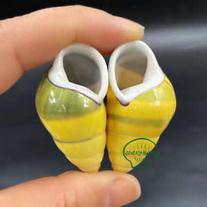 天然巻き貝の殻黄色のカタツムリの殻タンク風景コレクション標本右カタツムリヤドカリの家の交換用殻 - Product Image 5