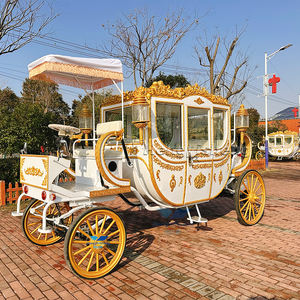 Chariot de mariage électrique OEM doré sculpté, style royal, en promotion - Product Image 4