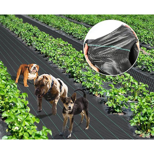 Riempimento in Polvere di Cardinale Nero h 4x100 mt Piegato h 2 mt - Product Image 5