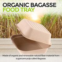 Boîte alimentaire rapide en bagasse de canne à sucre, écologique, biodégradable, recyclable, avec logo, pour vente en gros, à emporter, type coquille, étanche