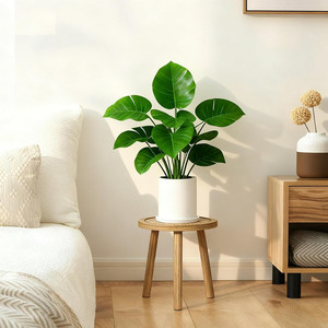 Lot de 3 tabourets pour plantes modernes du milieu du siècle support pour plantes intérieur extérieur porte-pot en <span class=keywords><strong>bois</strong></span> pour la décoration intérieure - Product Image 6