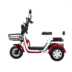 Nuevo Triciclo Eléctrico de 14 Pulgadas, Venta Caliente 2024, 600W, Batería de Plomo-Ácido de 12Ah, Scooter Eléctrico de Moda, Bicicleta Eléctrica de Carga - Product Image 3
