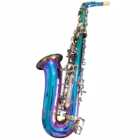 Colorful Lacquer Surface Brass Polished Rust Resistant Eb Alto Saxophone Silver Buttons Abalone Shell Inlay Keys Professional