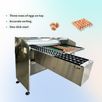 Machine de triage d'œufs par taille, classificatrice de petite taille