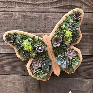 Maceta de Madera con Forma de Animal para Suculentas y Plantas, Diseño Moderno y Simple, Maceta para Micropaisajes - Product Image 6