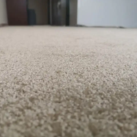 Toptan kesim kazık rahat duvar duvar tüfte halı kalın yumuşak peluş oditoryum halı otel kat kabarık tüylü halı kilim rulo