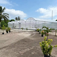 Fournisseur de serres : Kits de serres multi-chapelles en acier galvanisé de 1000 m² avec film PVC et couverture en PE, provenant d'un fabricant du Jiangsu