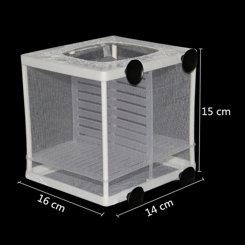 Aquarium Fish Breeding - Resun Breeder Box & Incubator