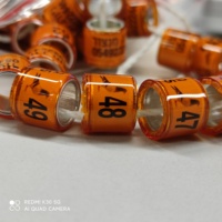 Fournitures pour pigeons, anneaux de patte personnalisés pour pigeons de 8 mm