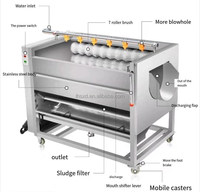 Offre spéciale brosse à légumes lavage machine de nettoyage pomme de terre gingembre brosse rouleau laveuse éplucheuse machine pour fruits et légumes