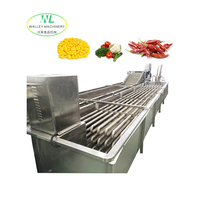 Hete Aanbieding Industriële Continue IJswaterkoeler Fruit- en Groente Koelapparatuur Sla Koeler Aardappelkoeler Motor SUS304