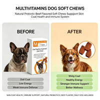 Tablet Semut Hitam Suplemen Hidrasi Kucing Multivitamin Hewan Peliharaan Probiotik Alami Rasa Daging Sapi untuk Kesehatan Kulit Bulu dan Imunitas