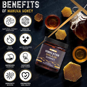 Gummies Shilajit murni dengan 100% shiilajit emas Gummies Label pribadi meningkatkan energi & dukungan imun Himalaya - Product Image 2