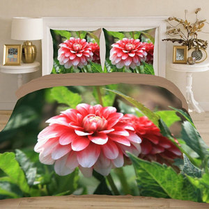 Sábanas de algodón de franela y extensión de cama Diseño desechable moderno 300tc Cuenta de hilos - Product Image 3