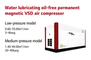 Compresseur d'air à vis à fréquence variable magnétique permanente, lubrifié à l'eau, sans huile, Ingersoll Rand <span class=keywords><strong>Gardner</strong></span> Denver DH45VSD - Product Image 3