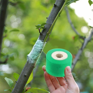 Film de greffage auto-adhésif extensible de 4 cm de large <span class=keywords><strong>pour</strong></span> arbres fruitiers, propagation de plantes, fournitures de pépinière - Product Image 4