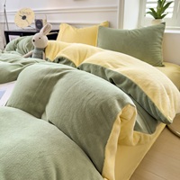 Parure de lit quatre pièces en velours de lait imprimé 300 fils/cm² tissé épais 2026 avec jupe de lit en polaire corail douce et couette chaude pour l'hiver