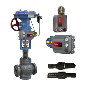 Control Neumático FIELDVUE DVC6205+DVC6215 CONTROLADOR/POSIIONADOR Baja Temperatura -52 °C REGULADOR Fisher DVC6205+DVC6215 China Pn - Product Image 5