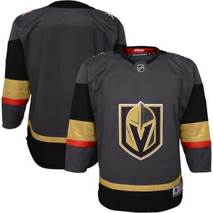 Las <span class=keywords><strong>Vegas</strong></span> Golden Knights Blank Gray Infant Toddler Home Premier Jersey V-neck Breathable Team Apparel - Product Image 1