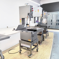 Scie à os électrique industrielle YouBan, machine à découper les os et la viande congelée, usage intensif