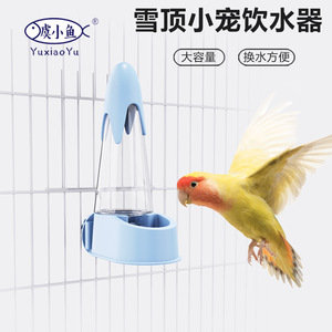 Distributeur d'eau pour perroquets, abreuvoir automatique pour oiseaux de compagnie, cage à oiseaux en fil métallique, aiguille à pointe et bouteille d'eau pour coqs - Product Image 4